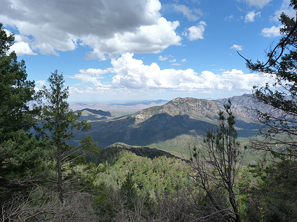 Chirichaua Mountains