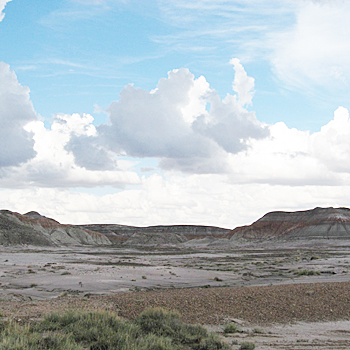 Petrified Forest