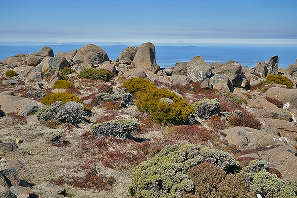 Mount Wellington