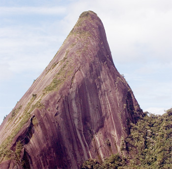 Atlantic Rainforest