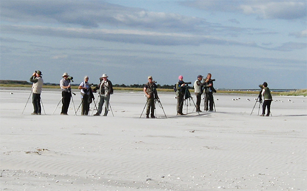 Birdfinders Group, Stone Harbour Point