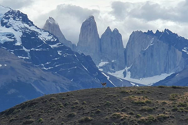 Torres Del Paine NP