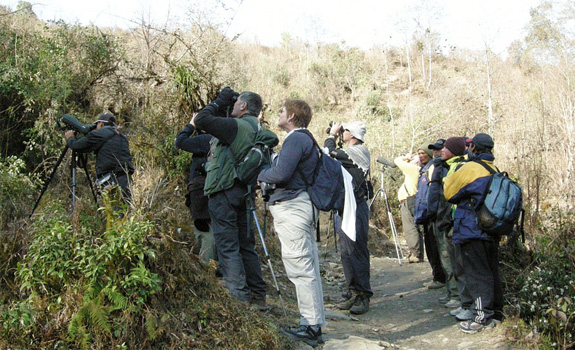 The group watching our first Red-headed Bullfinch