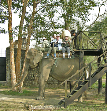 Elephant ride, Chitwan