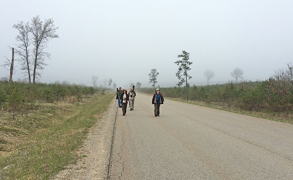 Birdfinders' group about to see Kirtland's Warbler