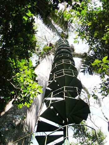 Canopy Tower at Manu Wildlife Center