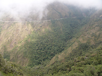 Manu Road through the cloud forest