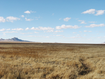 Luna County