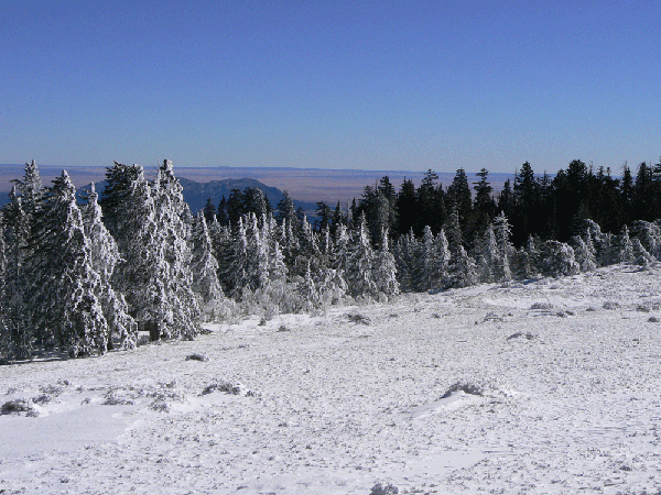 Sandia Crest