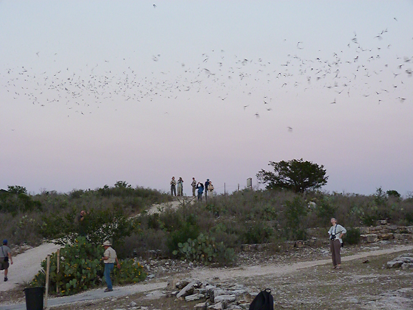 Frio Bat Cave