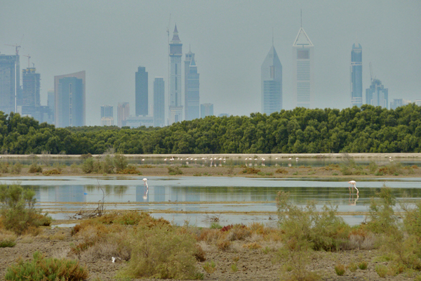 Dubai